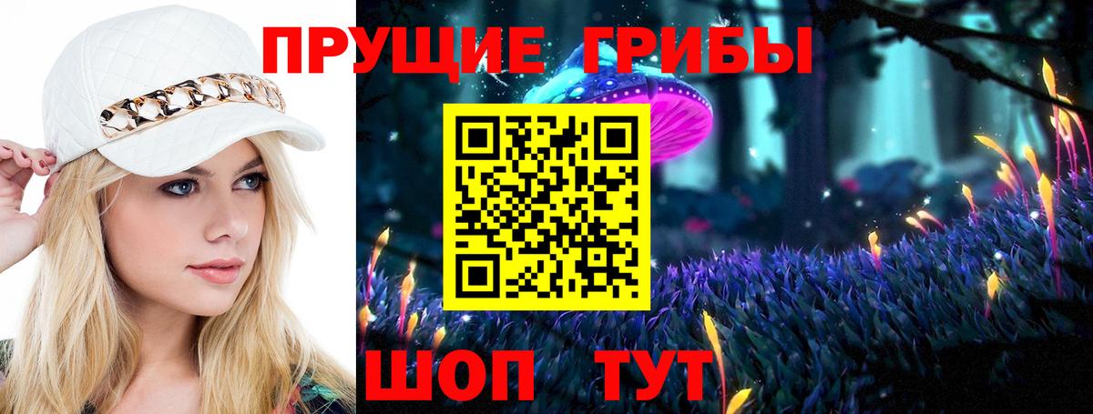 Галлюциногенные грибы мицелий  Псилоцибиновые грибы прущие грибы  купить наркоту  Кыштым  Вход с VPN 