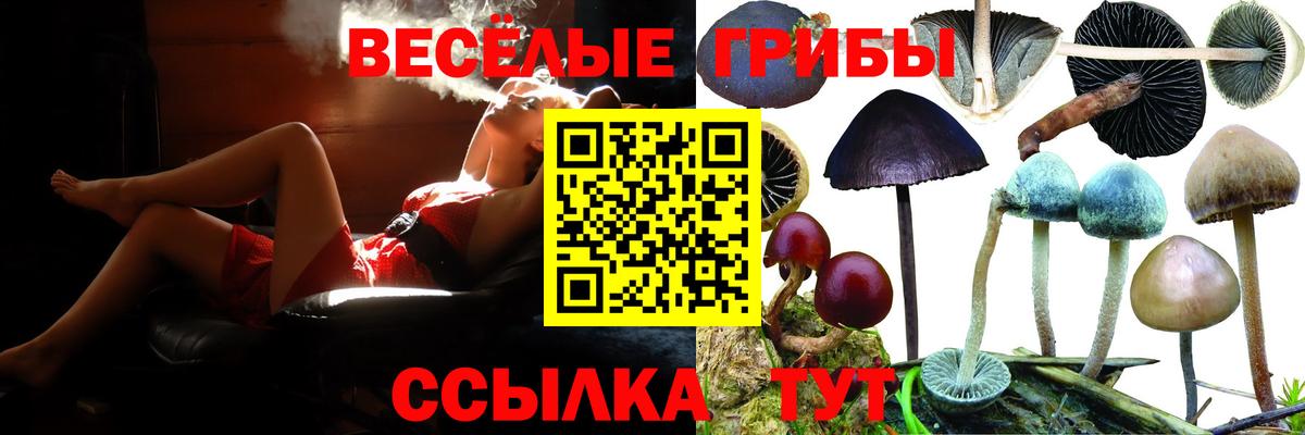 Галлюциногенные грибы мицелий Кыштым
